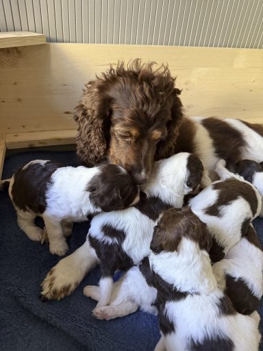 Schmusen mit Mama, 3 Wochen