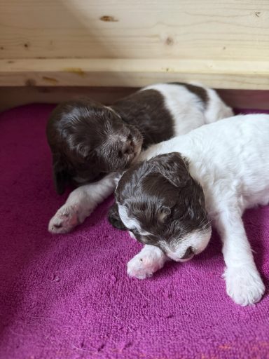 3 Wochen, mit Fritzi
