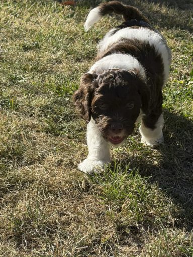 Woche 6