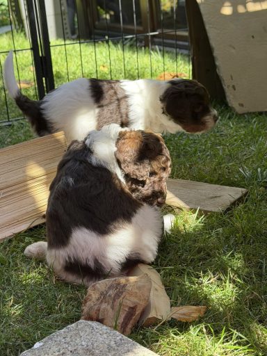 Woche 5